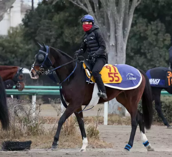 【ターコイズステークス展望】実績最上位のボンドガールが中心　牝馬限定戦ならウンブライルも好勝負