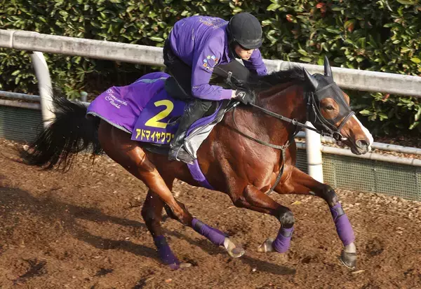 【朝日杯ＦＳ】アドマイヤクワッズはＣＷコースで軽快　陣営「非常に充実している」