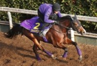 【朝日杯ＦＳ】アドマイヤクワッズはＣＷコースで軽快　陣営「非常に充実している」