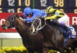 「ステゴが決勝出場者みたい」「不意打ちが過ぎる」Ｍー１内で名馬実装がサプライズ発表　ネットは大騒ぎに