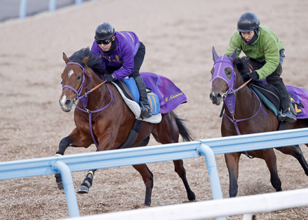 【ＡＪＣＣ】「今回は本当にいい」ディマイザキッドが重賞初制覇へ向け抜群の動きを披露　清水英調教師も自信