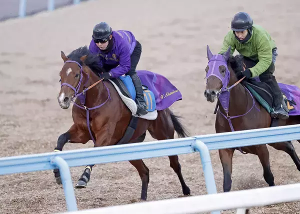 【ＡＪＣＣ】「今回は本当にいい」ディマイザキッドが重賞初制覇へ向け抜群の動きを披露　清水英調教師も自信