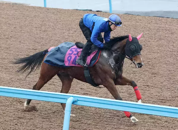 【クイーンＣ】課題のテンションを考慮してミツカネベネラはソフト仕上げ　津村明秀騎手「問題なくいい動き」