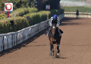 日曜東京競馬場の注目激走馬…東京１１Ｒフェブラリーステークス・Ｇ１