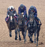 「【皐月賞】間隔が空いたパントルナイーフはラスト１１秒３　１冠目へ向け木村調教師「久しぶりなので、実戦を想定」と説明」の画像1