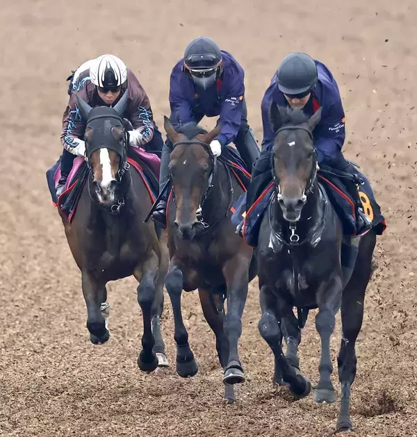 【皐月賞】間隔が空いたパントルナイーフはラスト１１秒３　１冠目へ向け木村調教師「久しぶりなので、実戦を想定」と説明