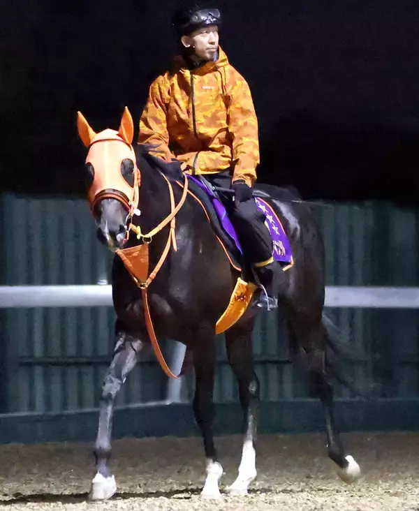無事に香港へ！　出発便欠航のトラブルに見舞われた栗東所属の香港遠征馬３頭は１８日に出国