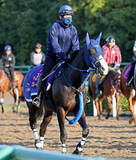 「【香港・ＱＥ２世Ｃ】世界最高賞金ホースに挑戦するマスカレードボール　手塚久調教師は「胸を借りる立場」と話すが...」の画像1