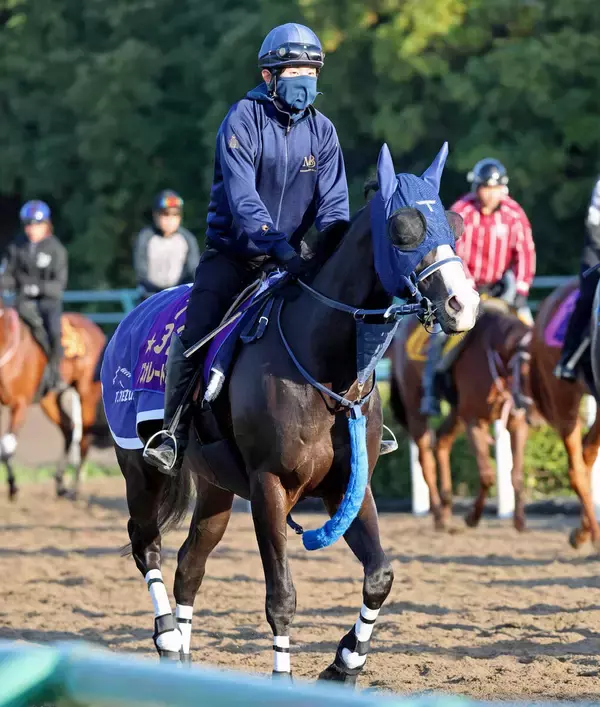 【香港・ＱＥ２世Ｃ】世界最高賞金ホースに挑戦するマスカレードボール　手塚久調教師は「胸を借りる立場」と話すが...