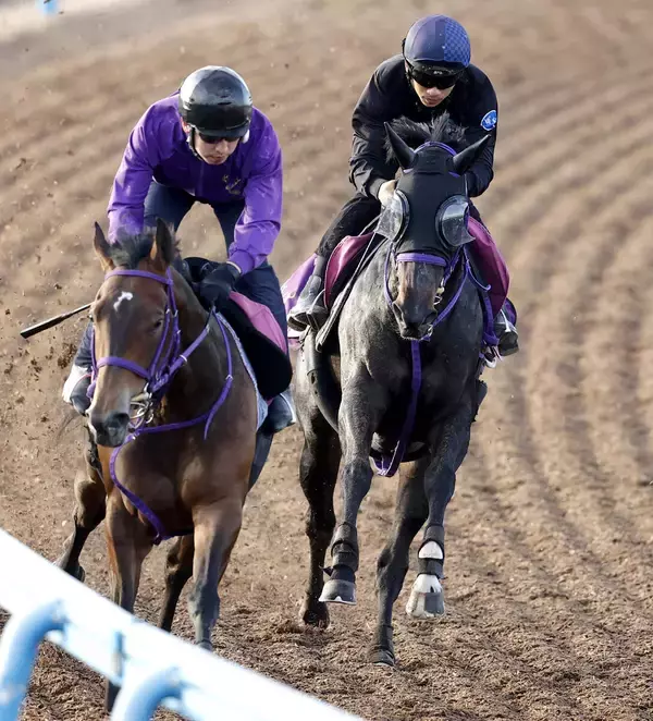 【フローラＳ】荻野極騎手「確実に上向いているが…」　デビュー戦を圧勝のラベルセーヌは精神面がカギ