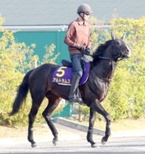 毎日杯覇者のアルトラムスは日本ダービーで引き続き横山武史騎手とコンビ　皐月賞１８着から巻き返し期す
