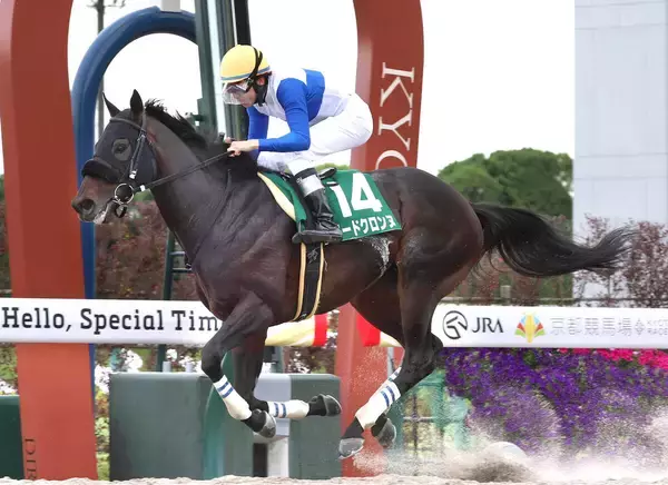 【平安Ｓ】ロードクロンヌ、帝王賞へ弾みの重賞２勝目　リオンディーズ産駒は今年重賞３勝目
