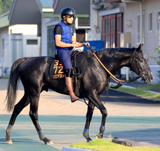 【新潟記念】３歳馬ゾロアストロが豪雨のなかＧ１馬５頭撃破　岩田望来騎手「内を突いた方が持ち味生かせる」鼻出血でダービー回避以来も