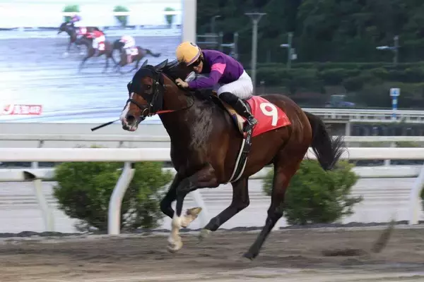 【高知競馬・横浜特別】波乱！　単勝８５・８倍のサンダーゼウスが逃げ粘った　近藤翔月騎手「ゴールの瞬間は自然に大声が出てしまいました」