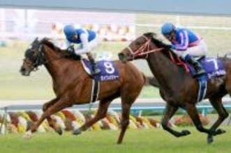 種牡馬としても活躍したＧ１・５勝ダイワメジャーが２５歳で死去　１９日に死んだダンスインザムードは２週続けてクラシックを勝った同期