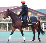 「【共同通信杯】２歳ＪＲＡレコードホルダーのサノノグレーター　尾形調教師は東京替わり歓迎　葉牡丹賞で１分５８秒２」の画像1