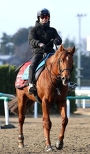【オーシャンＳ】９歳馬ウイングレイテストの強さの秘けつは？　畠山調教師「人と同じで食べることが大事」