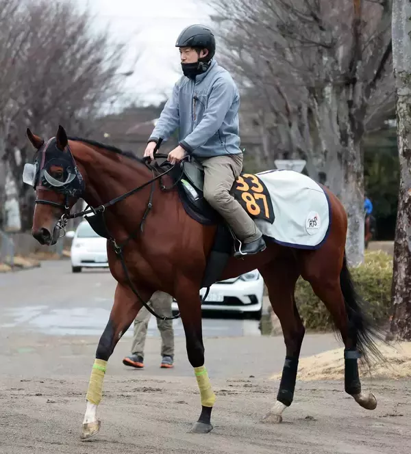 【報知杯弥生賞・三戸の特注馬】三浦騎手も高評価のタイダルロックが皐月賞への切符をつかむ