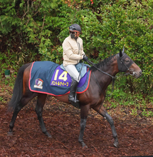 【皐月賞】パントルナイーフは６枠１１番から最長ブランクＶへ　木村調教師「しっかり対応できるように」