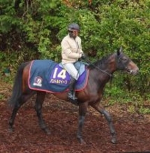 【皐月賞】パントルナイーフは６枠１１番から最長ブランクＶへ　木村調教師「しっかり対応できるように」