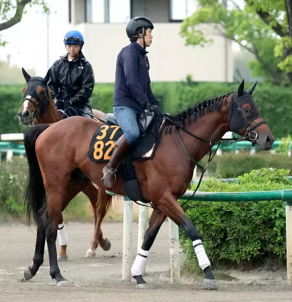 【葵Ｓ】「３戦続けて１分７秒台。ここでも通用していい」尾形調教師も手応え　６ハロンで素質開花したロジケープ　