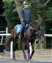 【東海Ｓ・理貴の特注馬】ダノンフィーゴがＪＲＡ重賞初制覇へ　中京は１勝、２着１回とオール連対