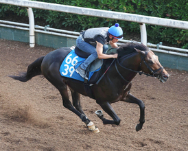 【東海Ｓ】陣営「今後のためにも勝ちたいレース」　安定感抜群インユアパレスが重賞初制覇へ