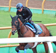 【岩田康誠の熱血！！競馬道】札幌記念のホウオウビスケッツは素軽さ出た最終追いで手応え深まる　「今週はガラッと動きが変わりました」