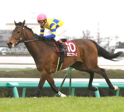 出世レースに異変あり！「どうしてこんな」「一気に難解」「酷暑の影響」９頭中５頭が未勝利馬の札幌２歳Ｓ