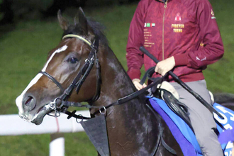 【ＢＣマイル】３歳馬アスクイキゴミは健闘の５着　初のマイル戦となったルガルとともに歴史的勝利はならずも...