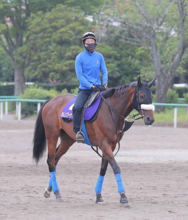 pics 宝塚記念 コース https www excite co jp news article sportshochi 20210625 oht1t51043