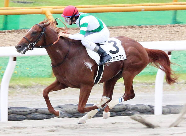 pics アイビスサマーダッシュ レコード https www excite co jp news article sportshochi 20210724 oht1t51089