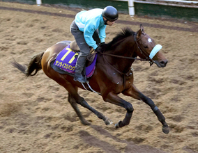 【有馬記念】復調した今なら怖い　芝でも走れるサンライズジパング　前川調教師「動けるようになってきている」