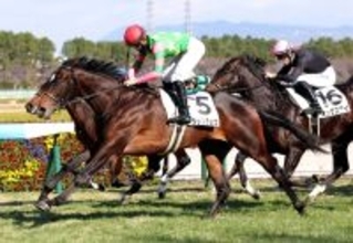 【阪神６Ｒ・２歳新馬】キシダンチョウが外から鋭く伸びて差し切る　高杉吏麒騎手「よく勝ち切ってくれたと思います」