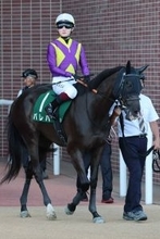 【小倉牝馬Ｓ・理貴の特注馬】昨夏から著しい成長曲線描くパレハ　得意の小回りなら展開ひとつ