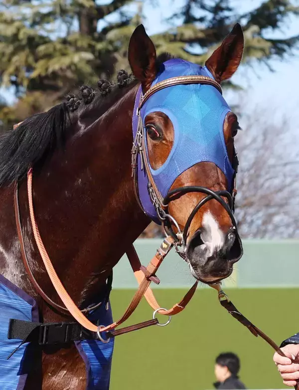 【ブルーバードＣ】断然人気の大外枠フィンガーが重賞初制覇　「さらに楽しみ」戸崎圭太騎手と２連勝　ＪＲＡ勢は３年連続Ｖ