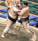 「序ノ口・森麗が７番相撲で初白星　７年ぶり全敗危機乗り越え「来場所は勝ち星先行でいきたい」」の画像1