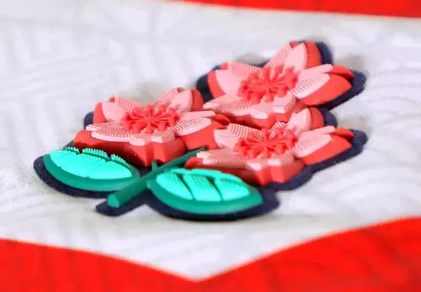 【ラグビー】医師と日本代表の二刀流…？　代表育成プログラムに京大医学部・大鶴誠が異例の参加　灘高出身の１０番、一般公募３０人の中からメンバー入り