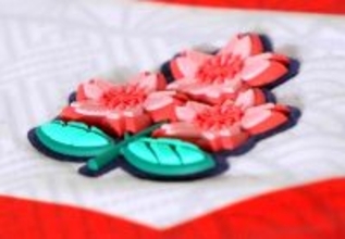 【ラグビー】医師と日本代表の二刀流…？　代表育成プログラムに京大医学部・大鶴誠が異例の参加　灘高出身の１０番、一般公募３０人の中からメンバー入り