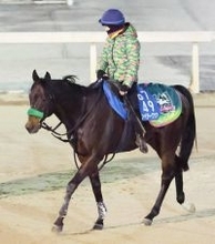 ２４年武蔵野Ｓを制したエンペラーワケアが骨折　休養期間は未定
