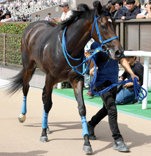 【きさらぎ賞】関東馬が栗東滞在で上昇気配！　「力が抜けて硬さもない」陣営好感触のラフターラインズ