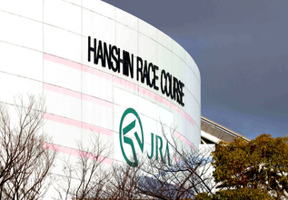 【阪神競馬・２２日の馬場】阪急杯でレコード決着の芝は絶好の状態　ロスなく内を回る馬が有利　ダートは基本先行馬狙い