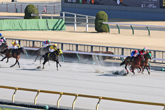 「並んでるの笑った」「たたき起こされて...」珍名馬対決はイッテラッシャイに軍配！　東京９Ｒ・ヒヤシンスＳ　