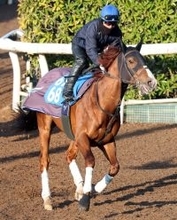 【マーチＳ】１番人気は５・３倍でオメガギネス　１０倍以下が５頭で混戦ムード漂う　前日最終オッズ