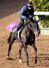 【注目馬動向】セレクト５・９億円馬エムズビギンは皐月賞に登録せず　友道調教師「ダービーへいい形で行けるように」