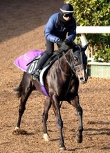 【注目馬動向】セレクト５・９億円馬エムズビギンは皐月賞に登録せず　友道調教師「ダービーへいい形で行けるように」