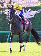 【阪神牝馬Ｓ】川田将雅騎手騎乗の４番人気カムニャックは２着　「前回よりはるかに我慢してくれました」