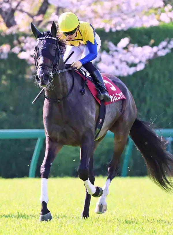 【阪神牝馬Ｓ】川田将雅騎手騎乗の４番人気カムニャックは２着　「前回よりはるかに我慢してくれました」