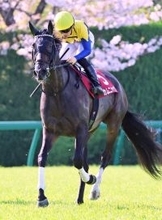 【阪神牝馬Ｓ】川田将雅騎手騎乗の４番人気カムニャックは２着　「前回よりはるかに我慢してくれました」