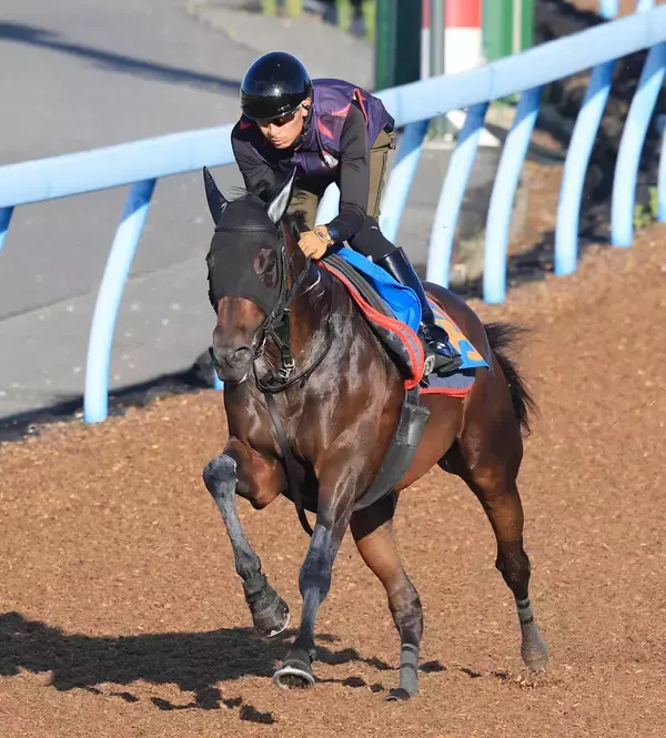 【関屋記念】重賞初挑戦Ｖ狙うアンパドゥ　新コンビの岩田望来騎手が好感触「乗りやすかったし反応も良かった」